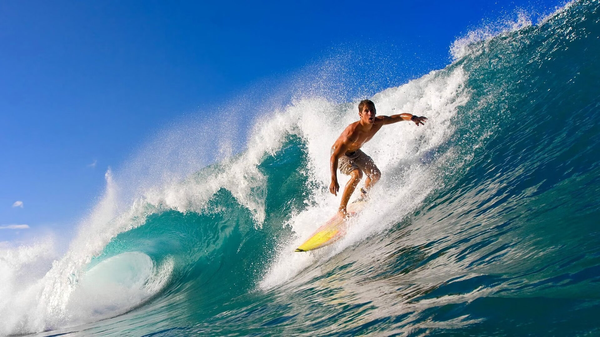跨越赛场的统治力，从西亚卡姆欧冠接管到步行者巅峰对决辽宁
